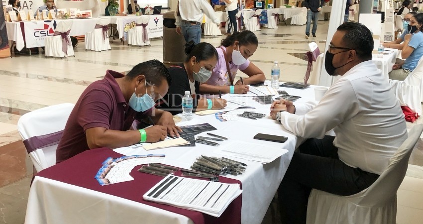 Los Cabos con más ofertas de empleo que demanda