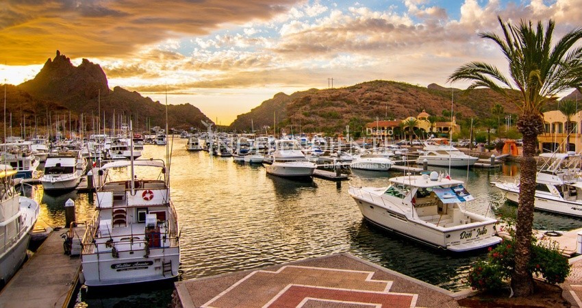 Inicia el Foro Mar de Cortés en Los Cabos