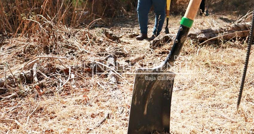 Preparan colectivos de búsqueda, jornada masiva para localizar personas desaparecidas