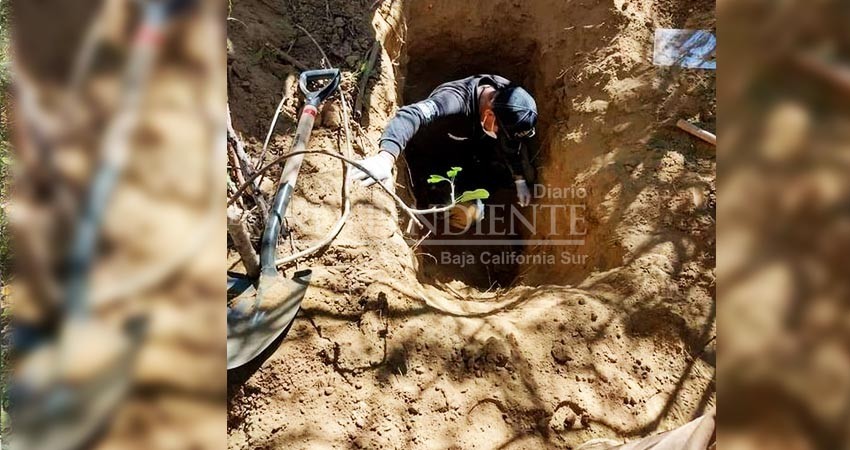 “Brotan” más restos humanos del suelo sudcaliforniano