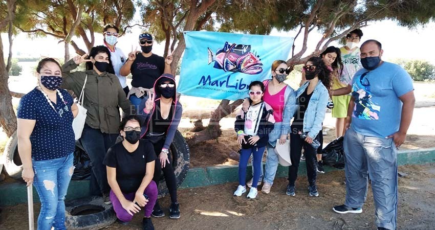 De nueva cuenta “Mar libre” limpiará manglares de La Paz
