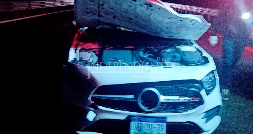 Vaca destroza frente de auto en Todos Santos