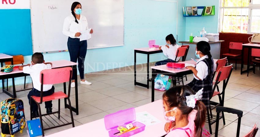 Durante la pandemia el magisterio sudcaliforniano ha sacado la casa por la educación: SNTE