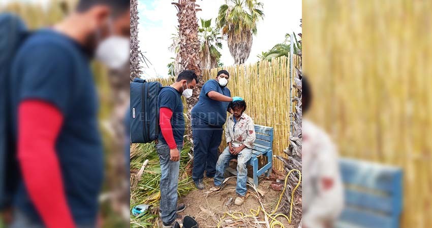 Cayó al cortar cuerda-sostén cuando podaba una palma en El Pescadero