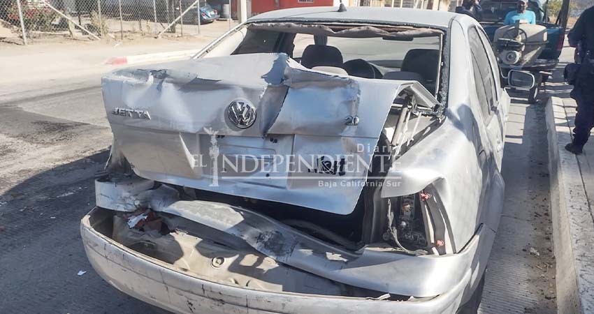 Se le “atravesó” una palma y la derribó con su auto