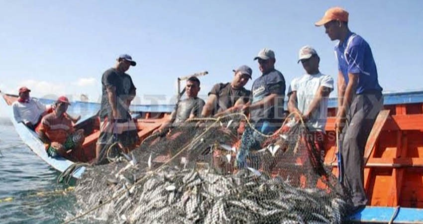 Falta de programas sociales afecta al sector pesquero de BCS