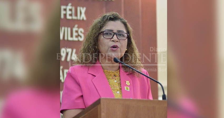 Las mujeres siguen esperando protección, procuración e impartición de justicia efectiva: María Luisa Ojeda