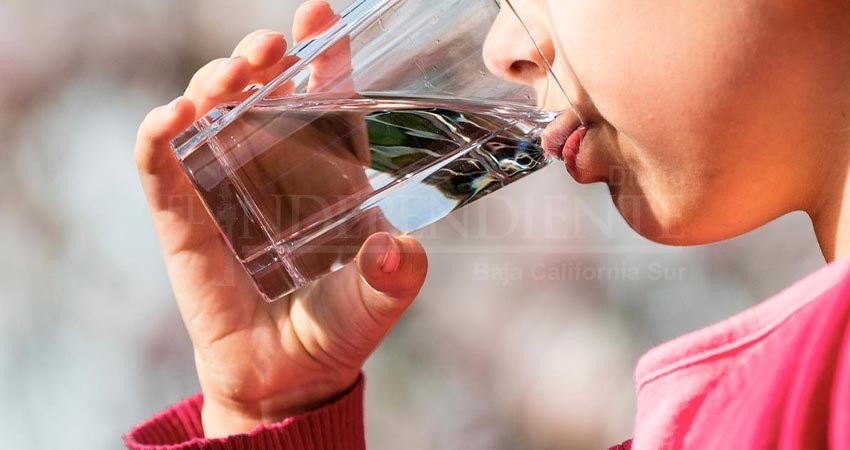 Buscaremos que agua potable sea exclusiva para consumo humano: Milena Quiroga