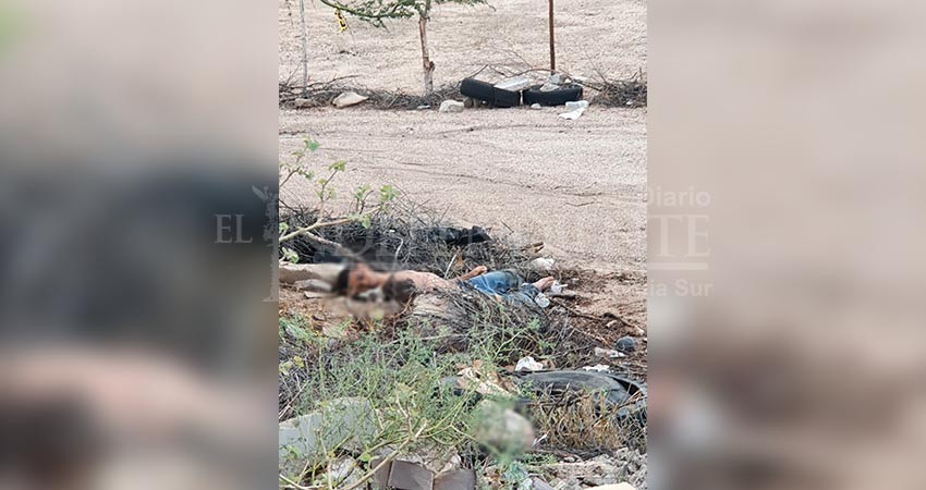 Asesinan en La Paz a un joven y lo abandonan en la vía pública