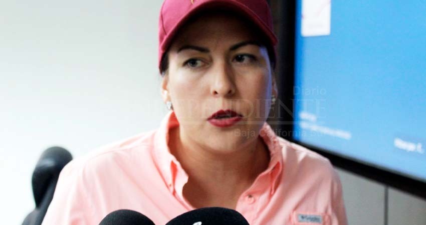 Alcaldía de La Paz se dice interesada en invertir en energías renovables