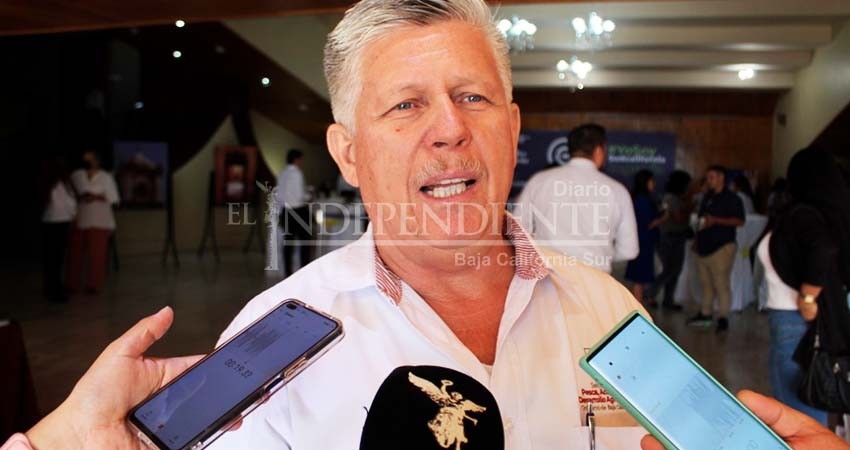 Todas las zonas hoteleras de BCS tienen potencial para pesca deportiva: Bermúdez