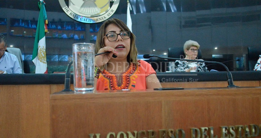 Denuncia diputada que joven mujer perdió a su bebé por negligencia del IMSS