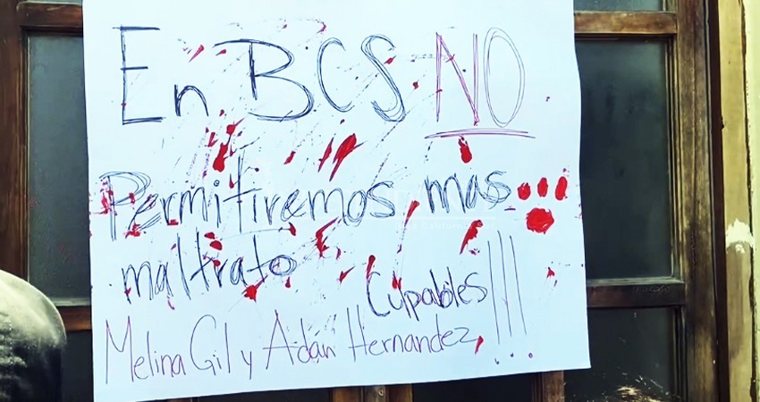 "Castigos ejemplares o justicia por mano propia"; advierten ciudadanos a las autoridades ante el maltrato animal