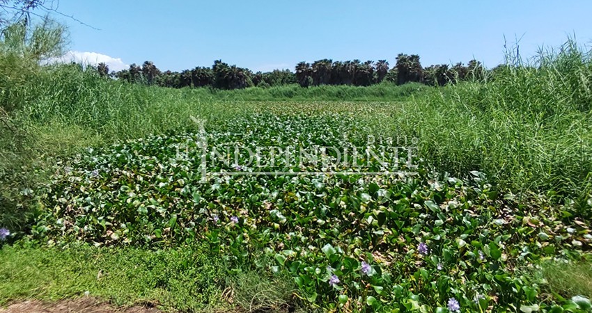 Realiza Congreso de BCS gestiones para mejorar condiciones del Estero de SJC