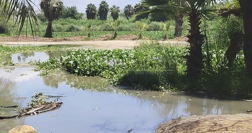 SP trabaja en el desalojo de personas que "viven" dentro del Estero de San José del Cabo