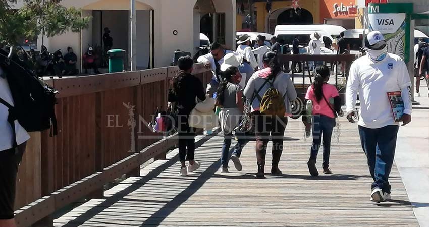 Entre 2019 y 2022, en Baja California Sur aumentó un 5% el trabajo infantil