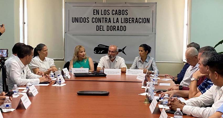 Firman asociaciones petición para impedir a futuro liberación de dorado a pesca comercial