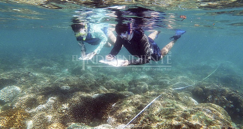 EPI México becó a 5 jóvenes sudcalifornianos durante el 2023