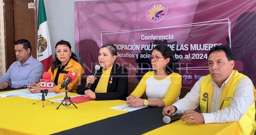 Denuncia diputada del PRD a subsecretario de Gobierno por violencia política en razón de género