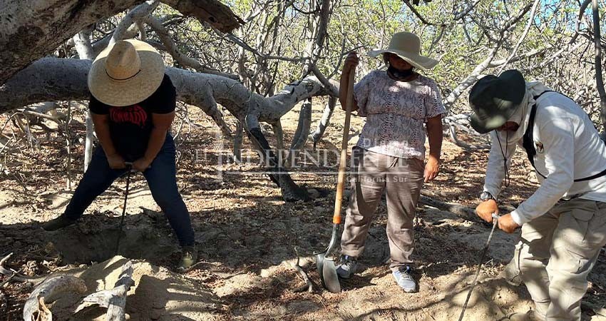 Crónica. Volver a casa