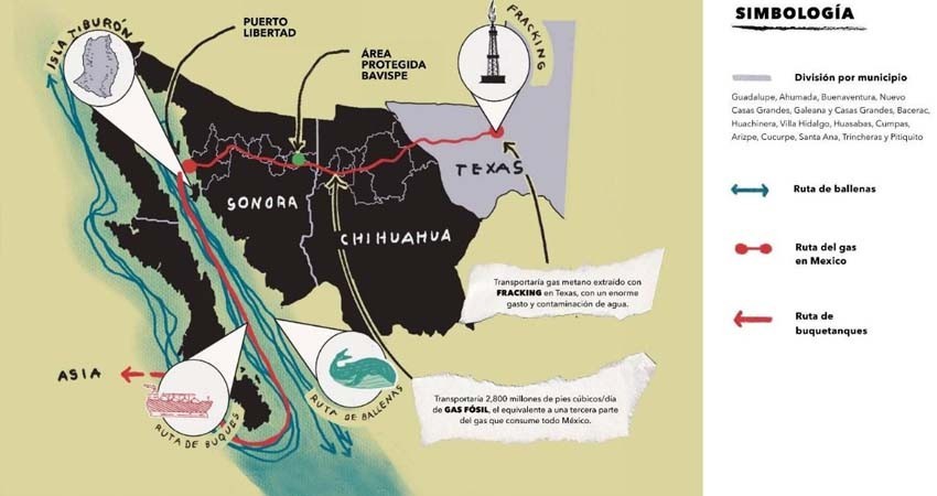 SEMAR otorgó concesión a gasera Saguaro sin permisos ambientales