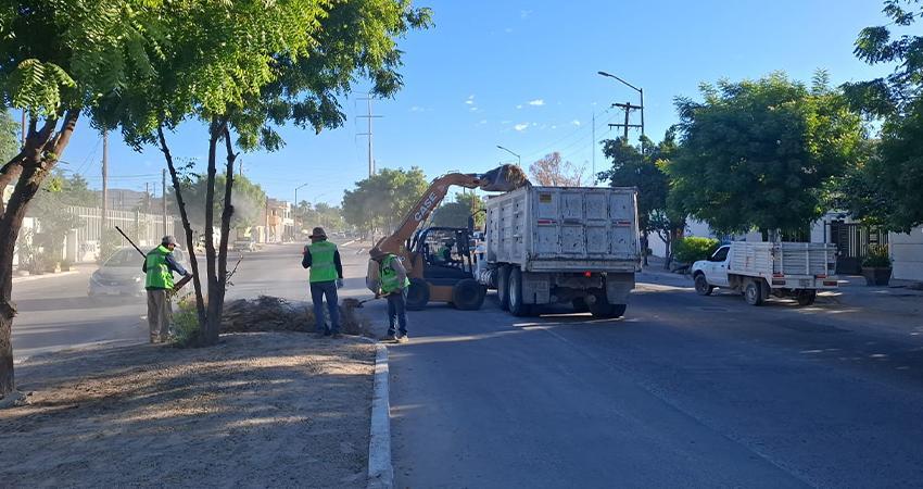 Atiende Servicios Públicos cerca de 5 mil toneladas de residuos en La Paz