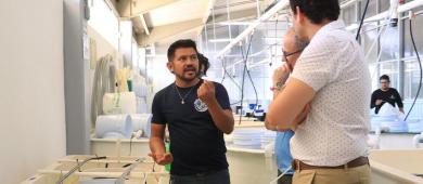 Proyecto de UABCS fortalece la ostricultura en Baja California Sur