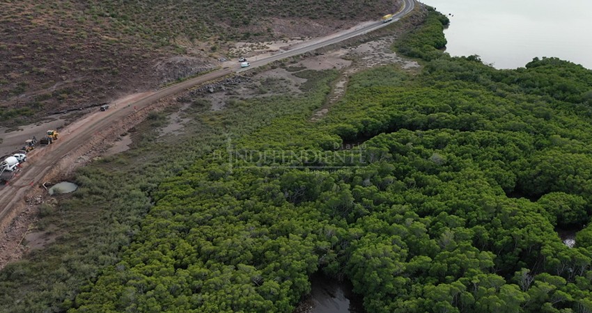 Obras de SCT secan manglares rumbo a Pichilingue, denuncian ciudadanos