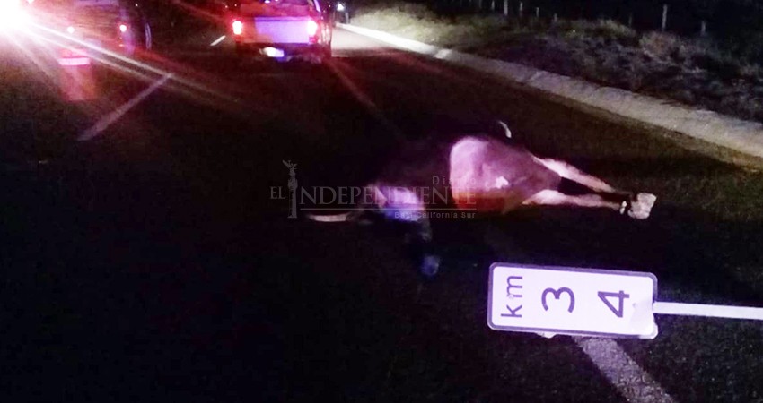 Carreteras abandonadas por la autoridad, acusan ganaderos