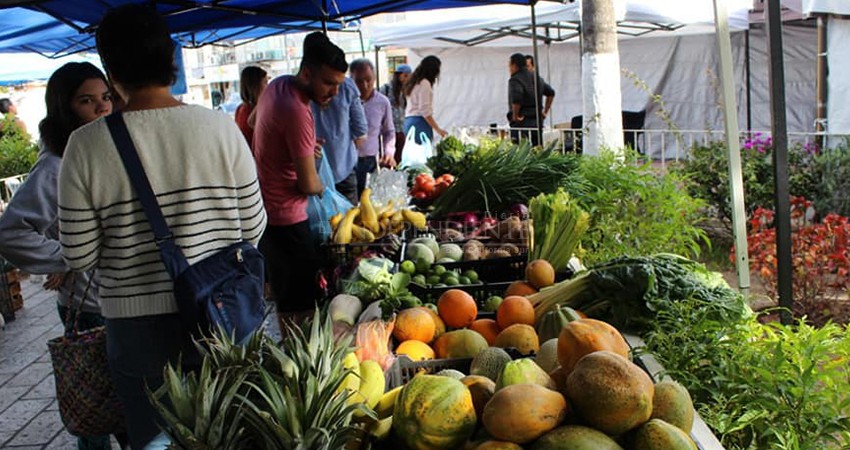 Piden que regrese Mercado Orgánico del Centro de La Paz