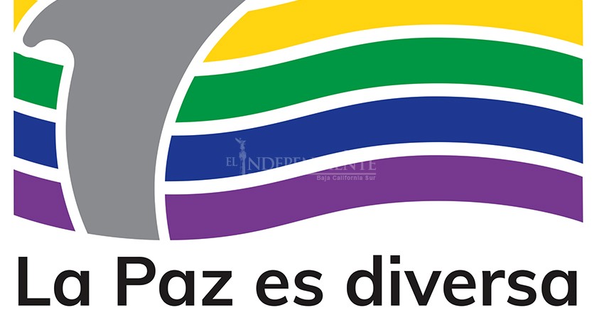 Diputada debió asesorarse antes de enviar iniciativa contra “terapias” de corrección: La Paz Es Diversa