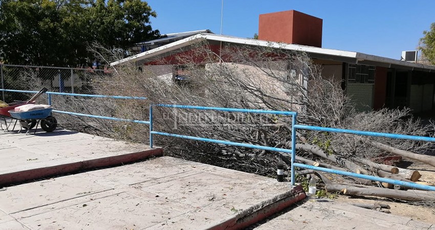 Tercer Batallón de Ingenieros de Combate realiza actividades de labor social