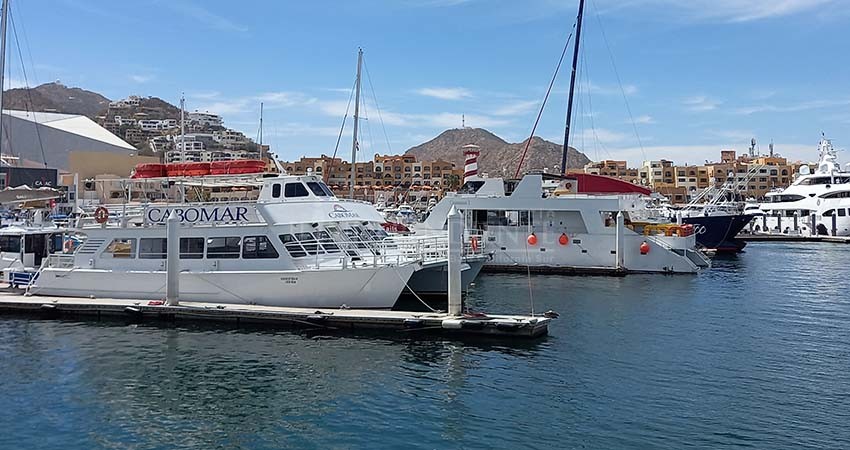 Mar de fondo afecta operaciones náuticas en CSL