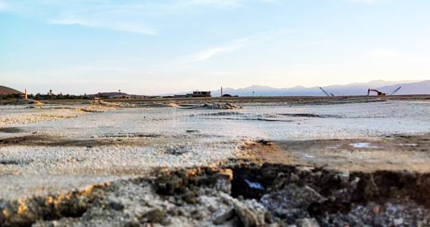 Devastadas las áreas de anidación de tortugas y gallito marino en La Ribera