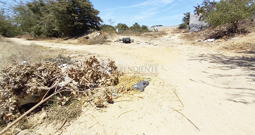 Subestiman ciudadanos la temporada ciclónica y siguen tirando basura en la calle