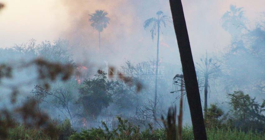 ¡Otra vez! Arde en llamas el estero josefino