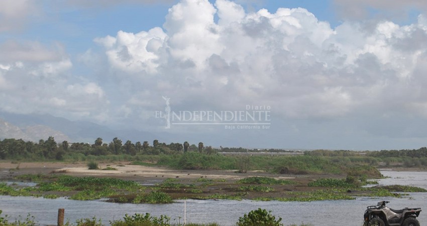 Apertura de la barra arenosa del estero provocó una mortandad de peces 