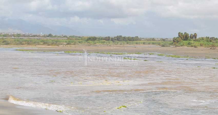 La apertura del estero y la mortandad de peces son un proceso cíclico: regidor  