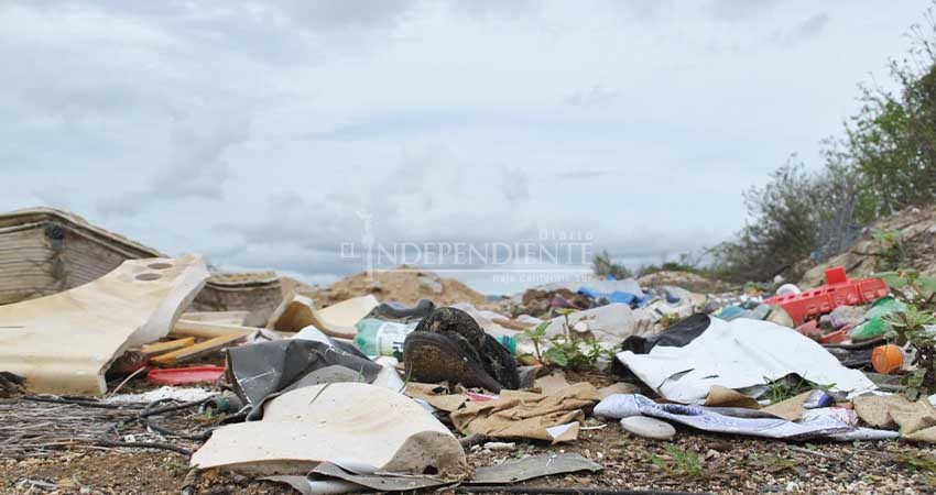 La basura en arroyos evidencia la falta de educación ambiental: Servicios Públicos 