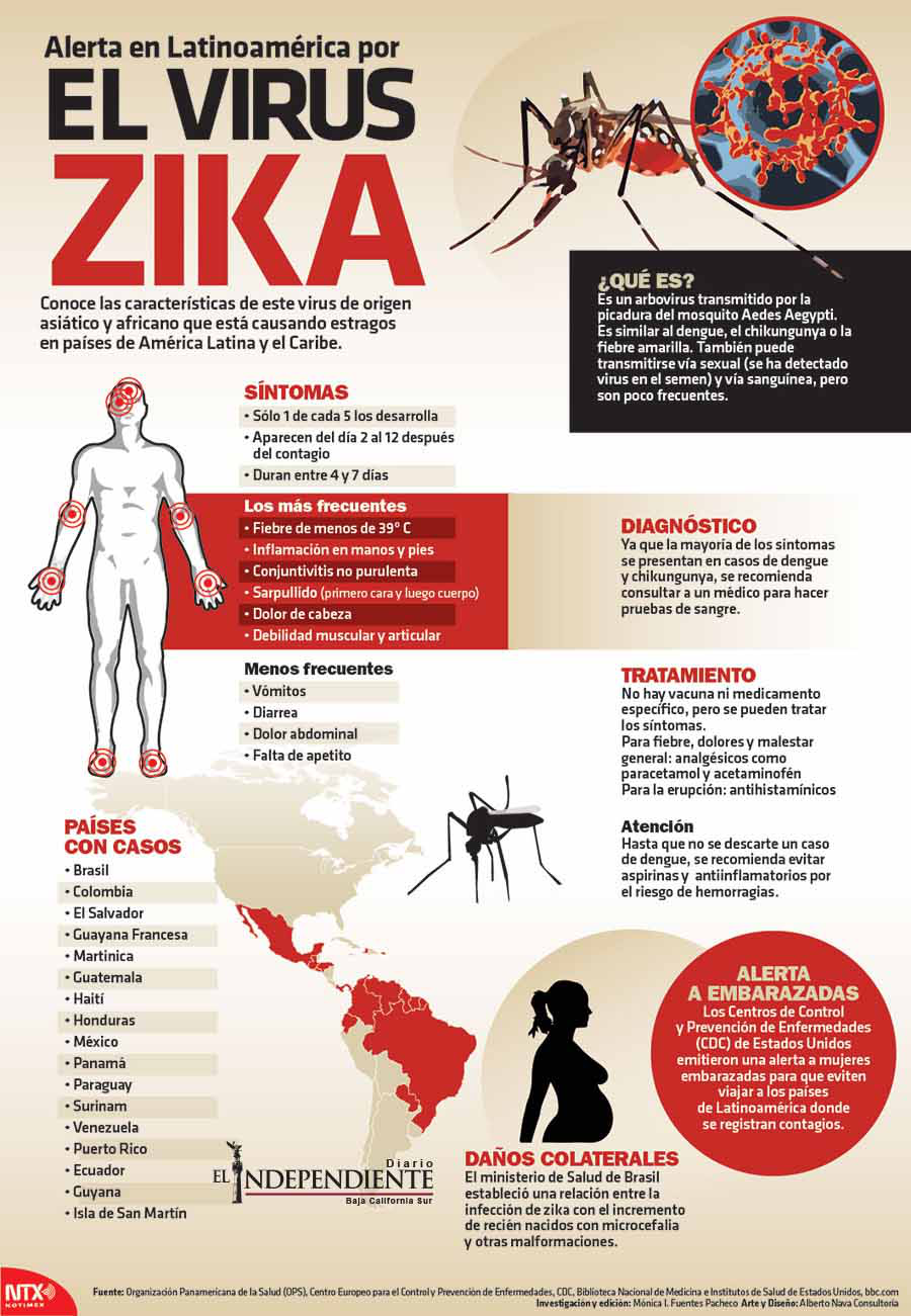 El virus del zika 1
