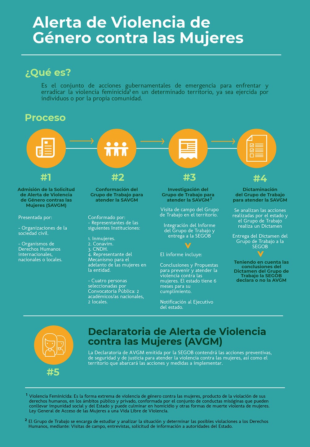 Alerta de violencia de género contra las mujeres.