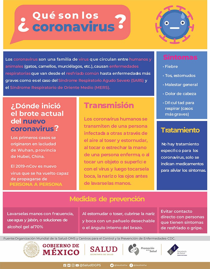 ¿Qué son los Coronavirus?