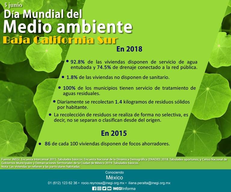 Día mundial del medio Ambiente