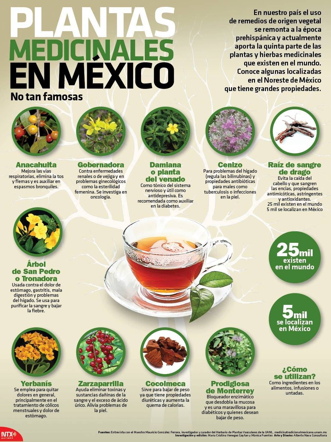 Plantas medicinales en México