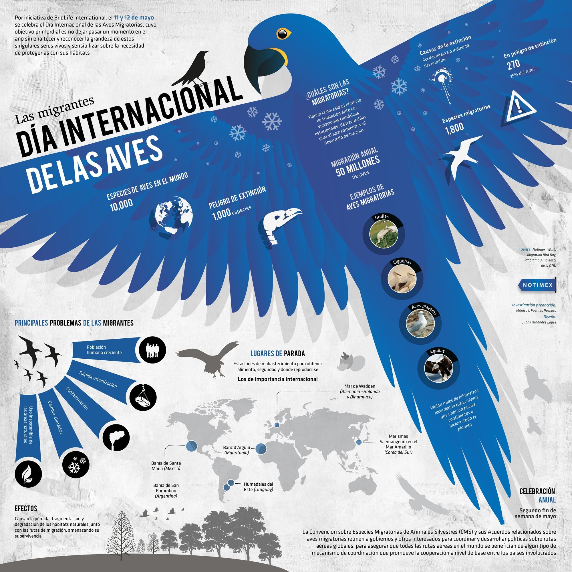 Día internacional de las aves