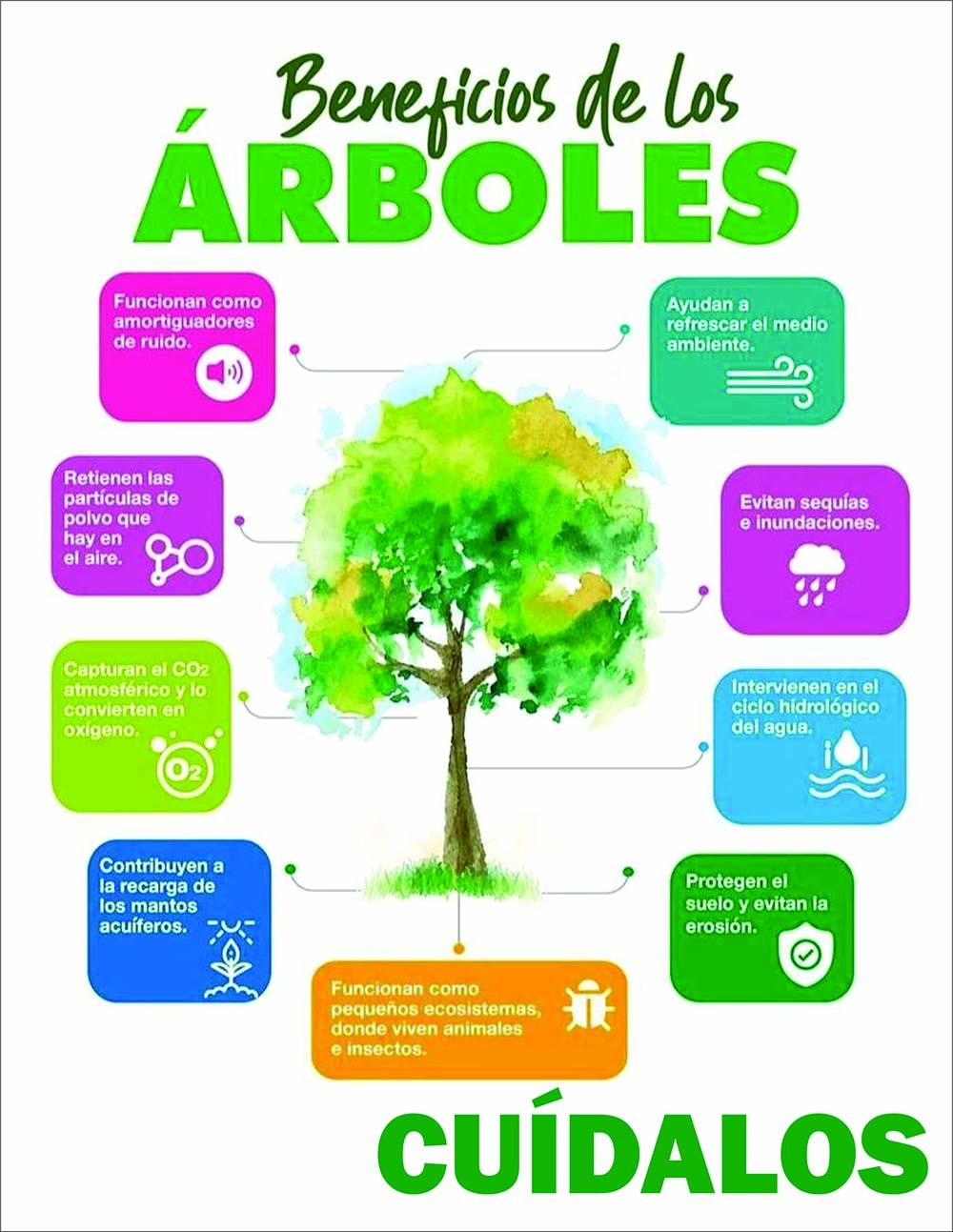 Beneficios de los Arboles