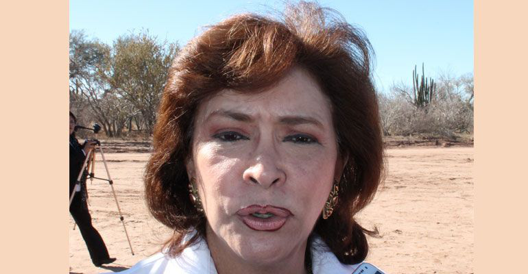 Blinda la SEDESOL programas sociales y no sean utilizados electoralmente Blinda la SEDESOL programas sociales y no sean utilizados electoralmente