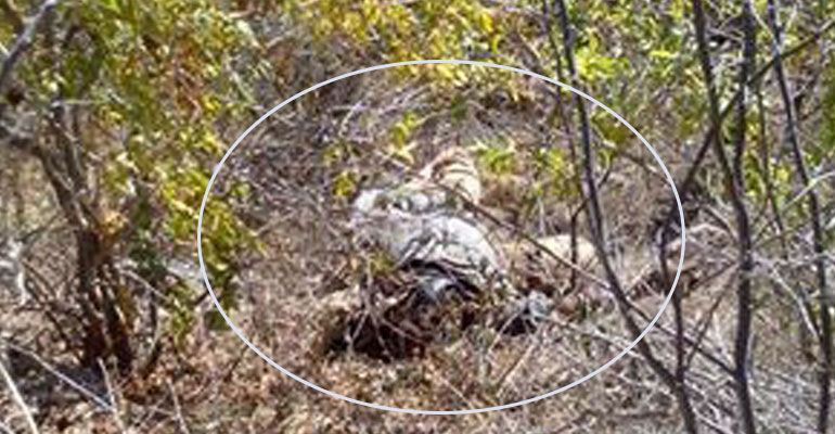 Encuentran cuerpo sin vida en San Antonio; podría tratarse de un indigente Encuentran cuerpo sin vida en San Antonio; podría tratarse de un indigente