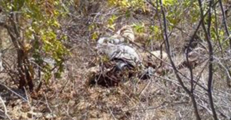 ¡Fue asesinado!; cuerpo encontrado en San Antonio fue liquidado de un disparo en la cabeza ¡Fue asesinado!; cuerpo encontrado en San Antonio fue liquidado de un disparo en la cabeza