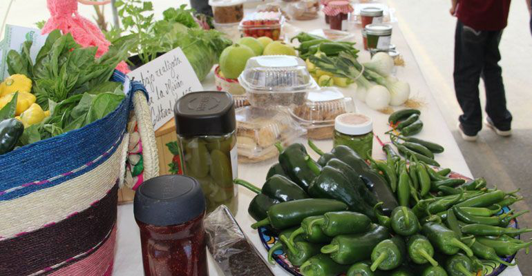 Se llevará a cabo la 5ª Feria del Chile y la Fresa en El Pescadero Se llevará a cabo la 5ª Feria del Chile y la Fresa en El Pescadero